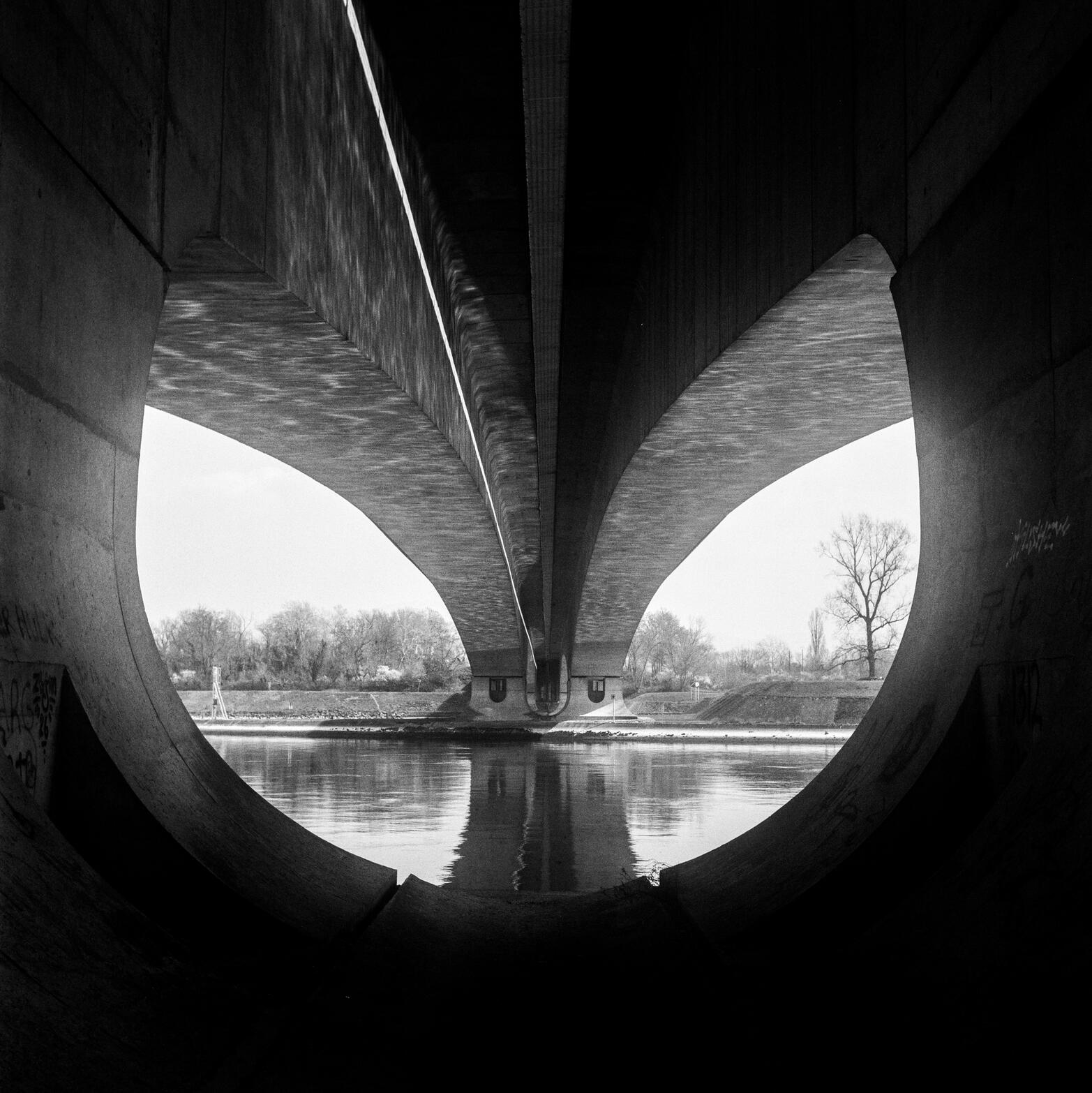 rolleiflex-bridge4 rolleiflex-bridge4